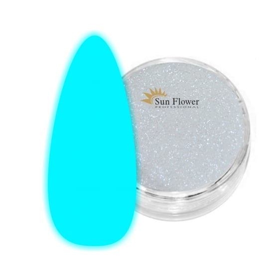 Fluo Effect Puder Akrylowy 2g - Świecący W Ciemności - Biały Krystal SUNFLOWER