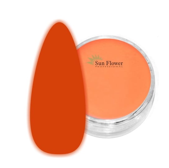 Fluo Effect Puder Akrylowy 2g - Świecący W Ciemności - Pomarańcz SUNFLOWER