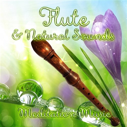 Flute & Natural Sounds Meditation Music: American Native Flute for Relax, Massage, Spa and Sleeping Trouble Mantra Yoga Music Oasis