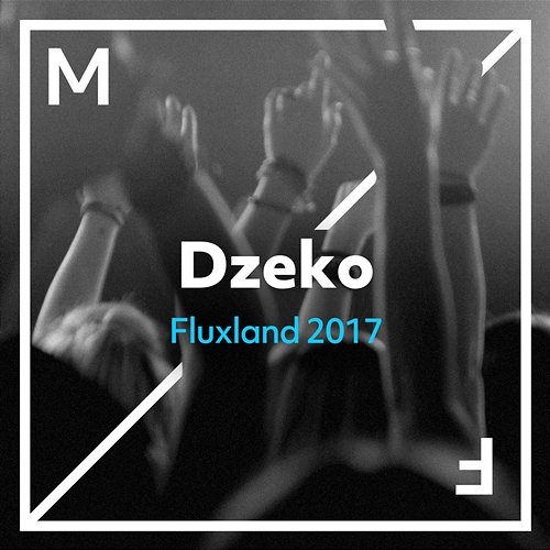 Fluxland 2017 Dzeko