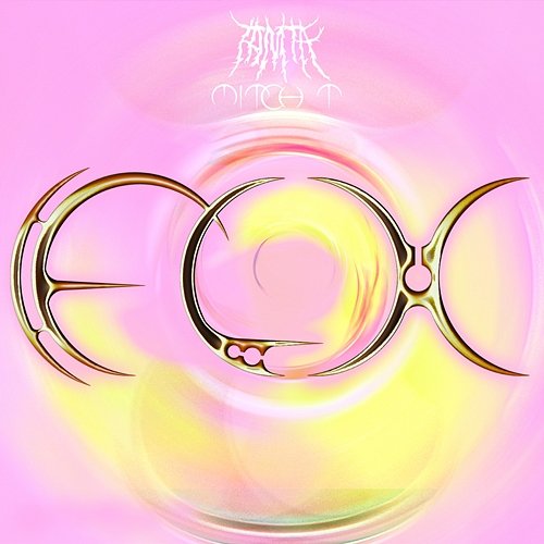FLX MITCH T, Tamta