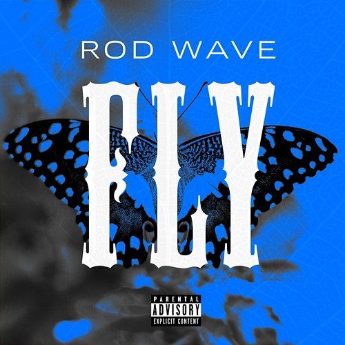 Fly Rod Wave