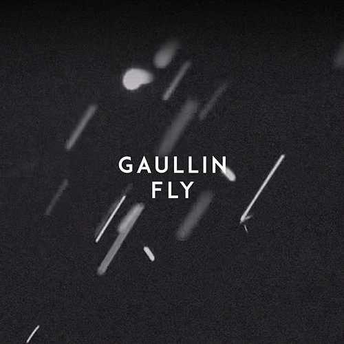 Fly Gaullin