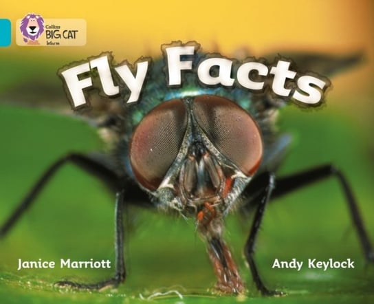 Fly Facts Janice Marriott