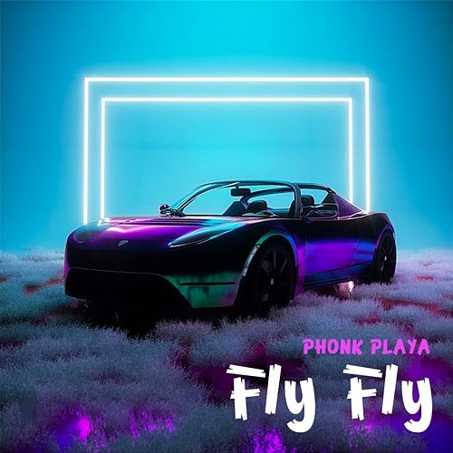 Fly Fly Phonk Playa