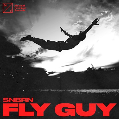 Fly Guy SNBRN
