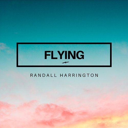 Flying Randall Harrington