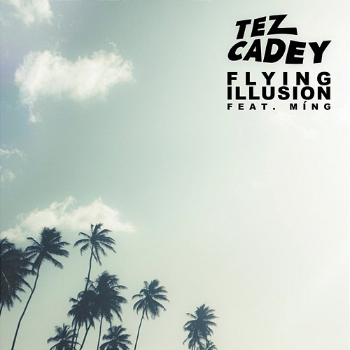 Flying Illusion Tez Cadey feat. Míng