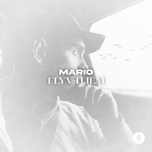 Flyv Hjem Mario