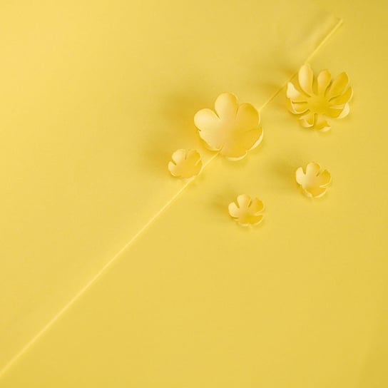FOAMIRAN pianka do tworzenia kwiatów 60x70cm - 122 ciepły żółty Inna marka
