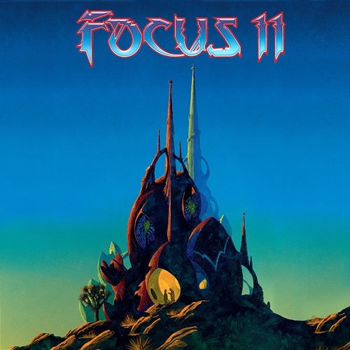 Focus 11 Focus
