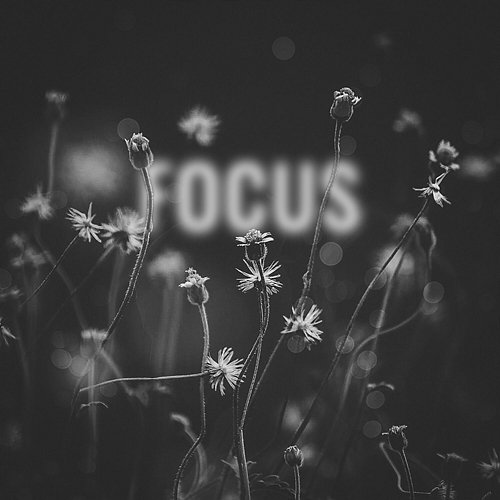 Focus Deorro feat. Lena Leon