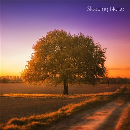 Focusing Sleep White Noise Looped Healing White Noise, No Fade Noise