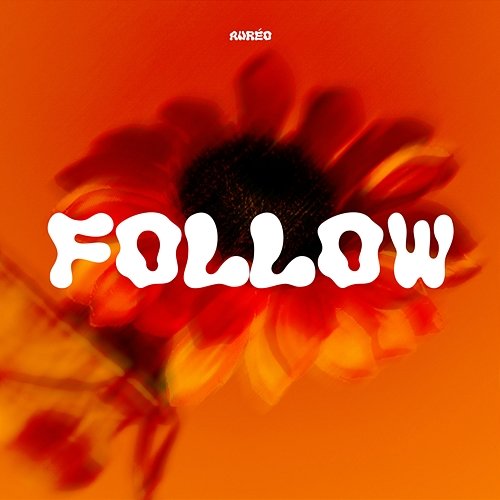 Follow Auréo