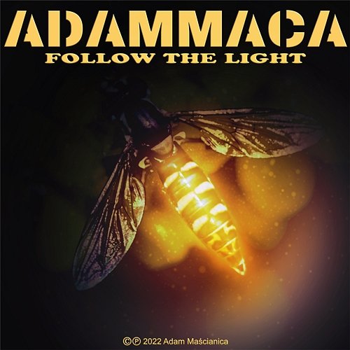Follow the Light AdamMaca