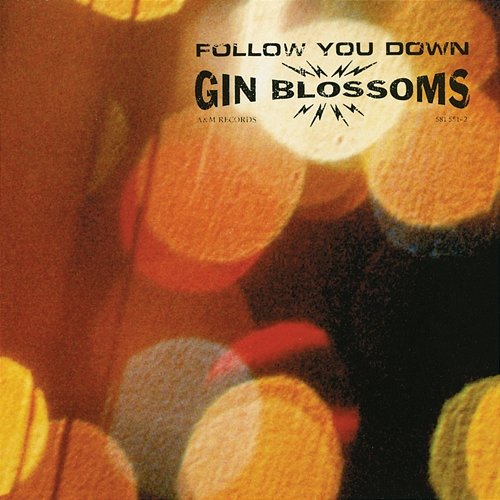Follow You Down Gin Blossoms