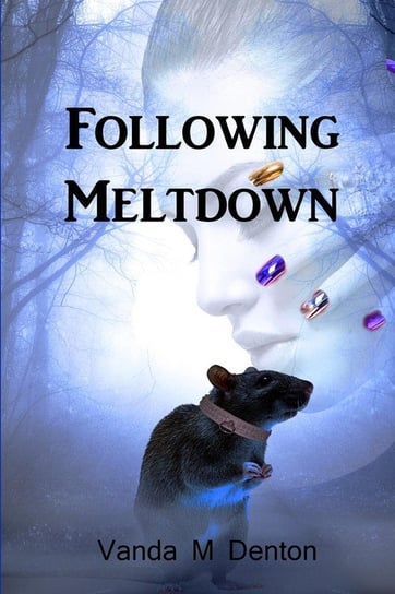 Following Meltdown Vanda Denton