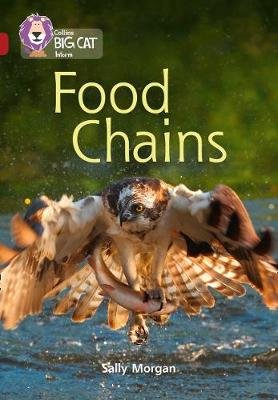 Food Chains: Band 14/Ruby Morgan Sally