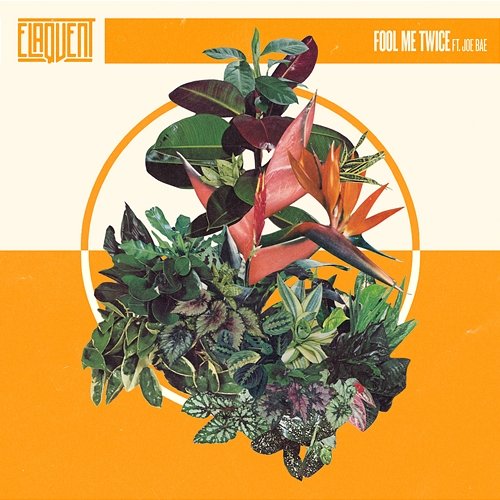 Fool Me Twice Elaquent & Joe Bae
