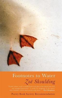 Footnotes to Water Zoe Skoulding