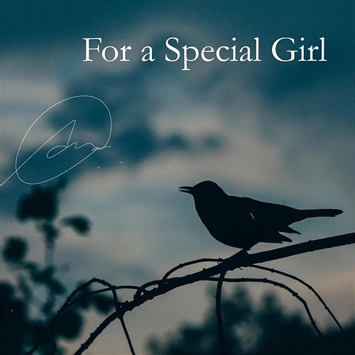 For a Special Girl ANIR