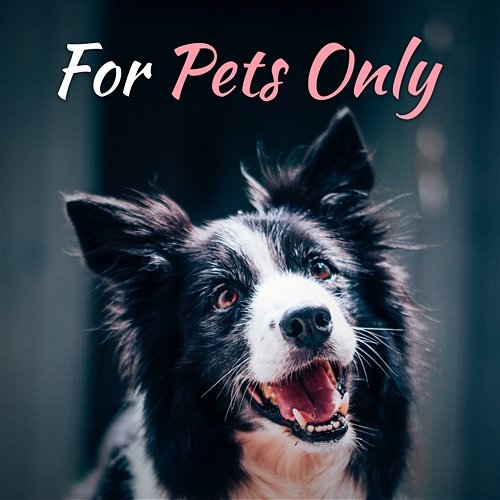 For Pets Only: Calming Sounds for Dog & Cat Relaxation, Calm Dow Your Puppy, Kitty, Stress Relief and Anxiety Help, Sounds for Pet Ears Pet Care Club
