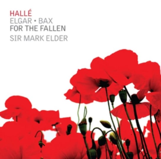 For The Fallen Halle De La Gombe