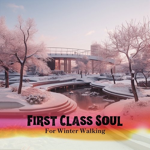 For Winter Walking First Class Soul