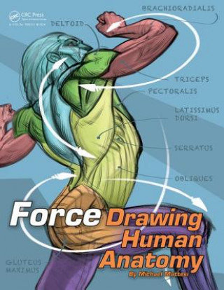 Force: Drawing Human Anatomy Mike Mattesi