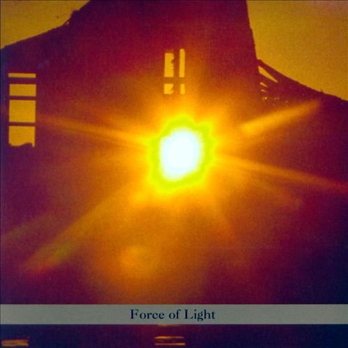Force Of Light Kaufman Dan