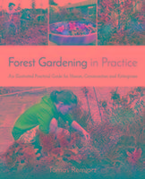 Forest Gardening in Practice Remiarz Tomas