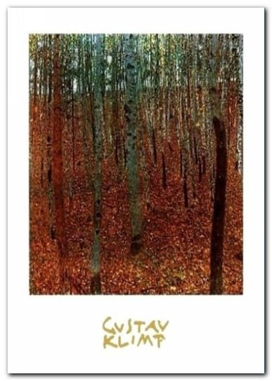 Forest Of Beeches plakat obraz 50x70cm Wizard+Genius