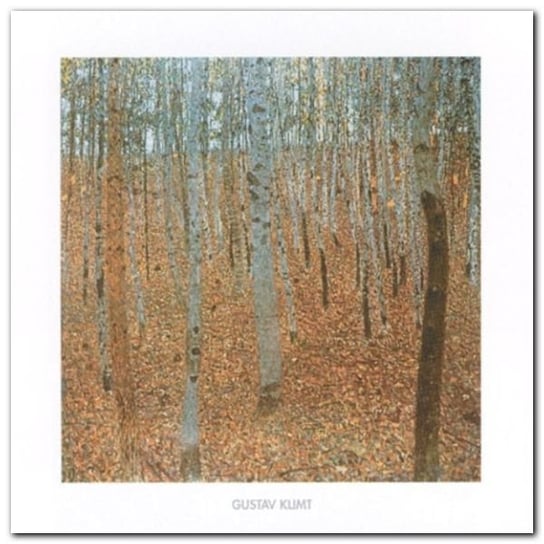 Forest plakat obraz 30x30cm Wizard+Genius