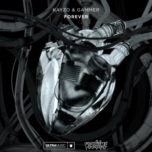 FOREVER Kayzo, Gammer