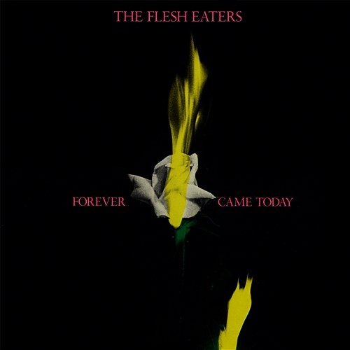 Forever Came Today The Flesh Eaters