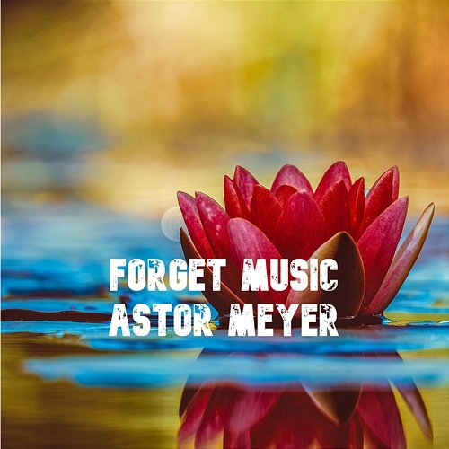 Forget Music Astor Meyer
