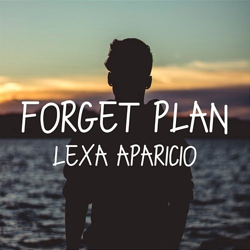 Forget Plan Lexa Aparicio
