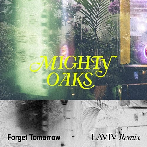 Forget Tomorrow Mighty Oaks