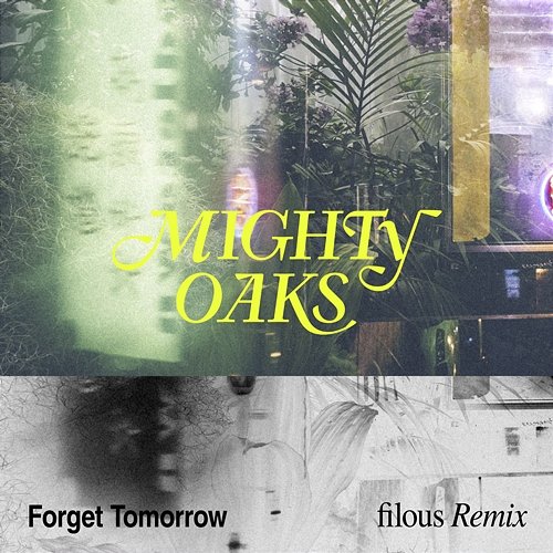 Forget Tomorrow Mighty Oaks