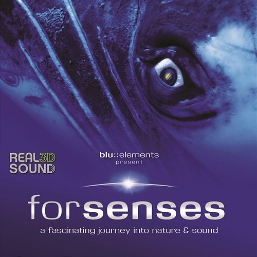 Forsenses - HP-SR 3D Soundtrack blu::elements project