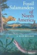 Fossil Salamanders of North America Holman Alan J.