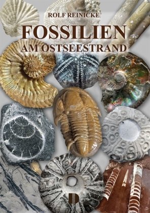 Fossilien am Ostseestrand Demmler-Verlag