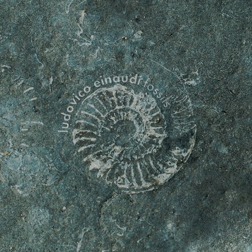 Fossils Ludovico Einaudi