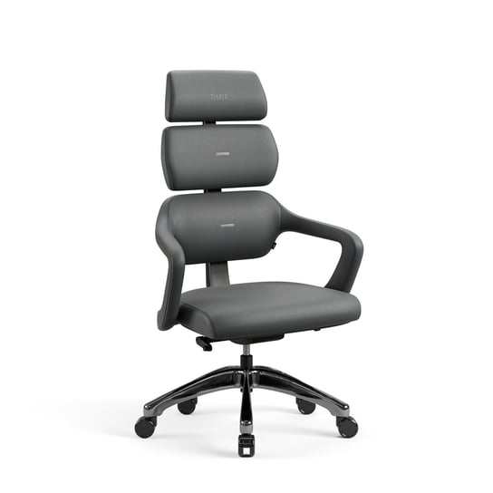 Fotel prezesa - ergonimiczny, biurowy, gabinetowy Diablo V-Modular: Shadow Grey Diablo Chairs