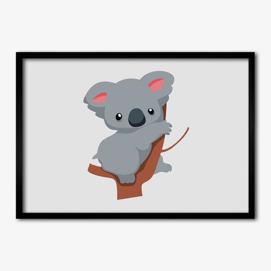 Foto grafika w ramce TULUP Koala na drzewie 70x50 cm Tulup