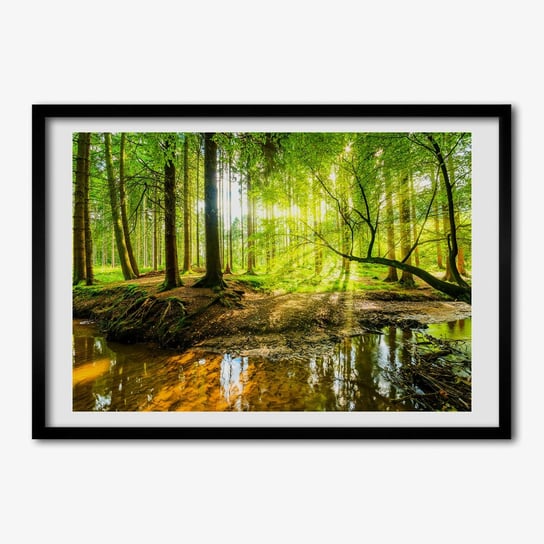 Foto grafika w ramce TULUP Sadzawka w lesie 70x50 cm Tulup