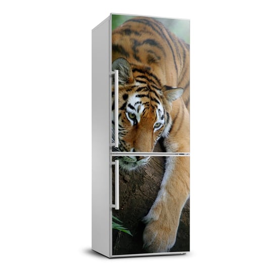 Foto Naklejka na lodówkę Tygrys na drzewie 70x190, Tulup Tulup