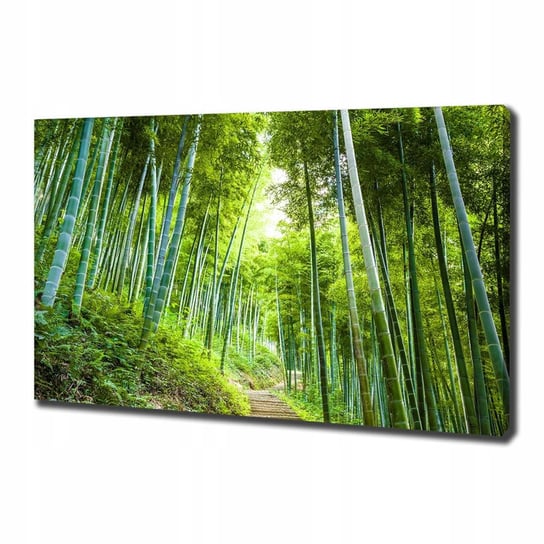 Foto obraz na płótnie Las bambusowy 100x70 cm Inna marka