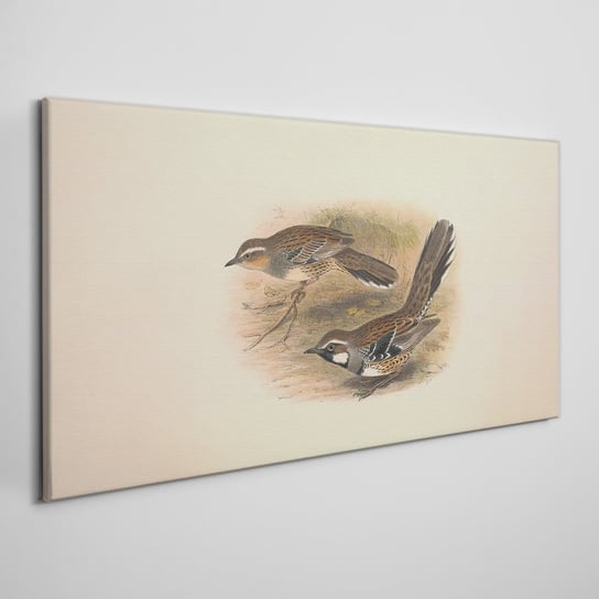 Foto - Obraz Płótno na ramie Ptaki zwierzęta 100x50 Coloray