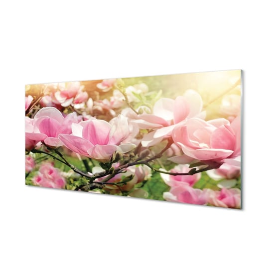 Foto panel kuchenny z grafiką + klej Kwiaty 120x60 Tulup
